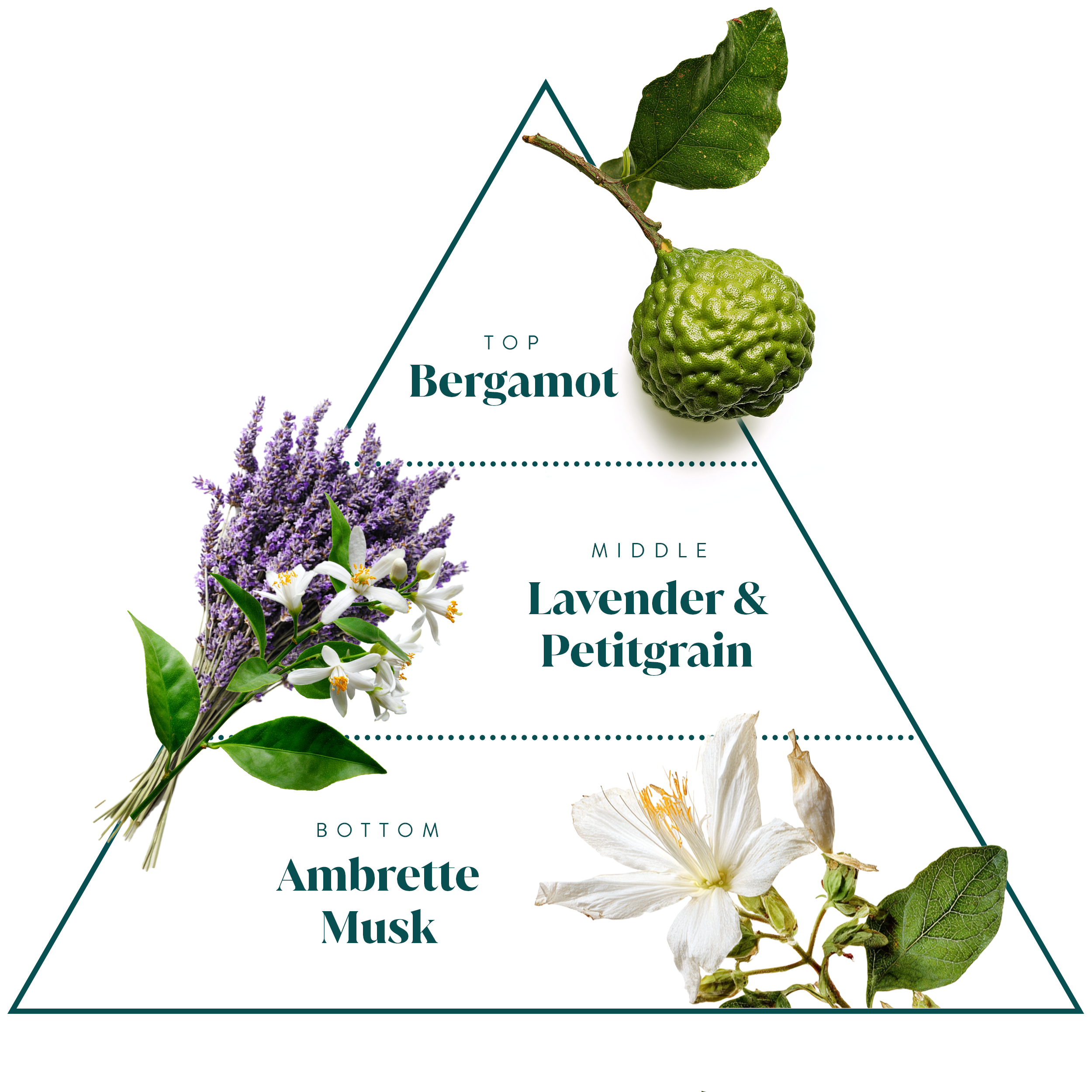 Laundry Detergent | Scent 01