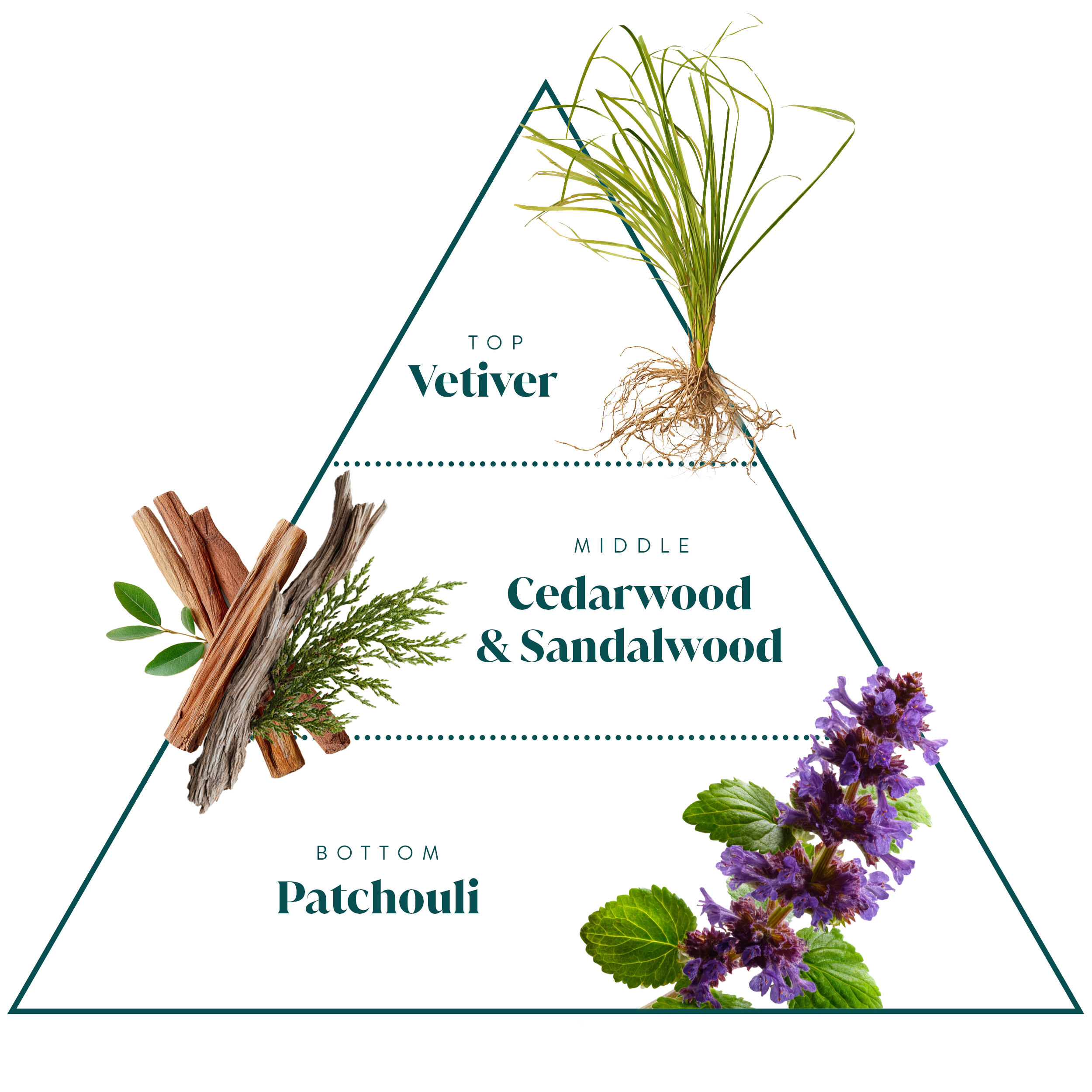 Laundry Detergent | Scent 44