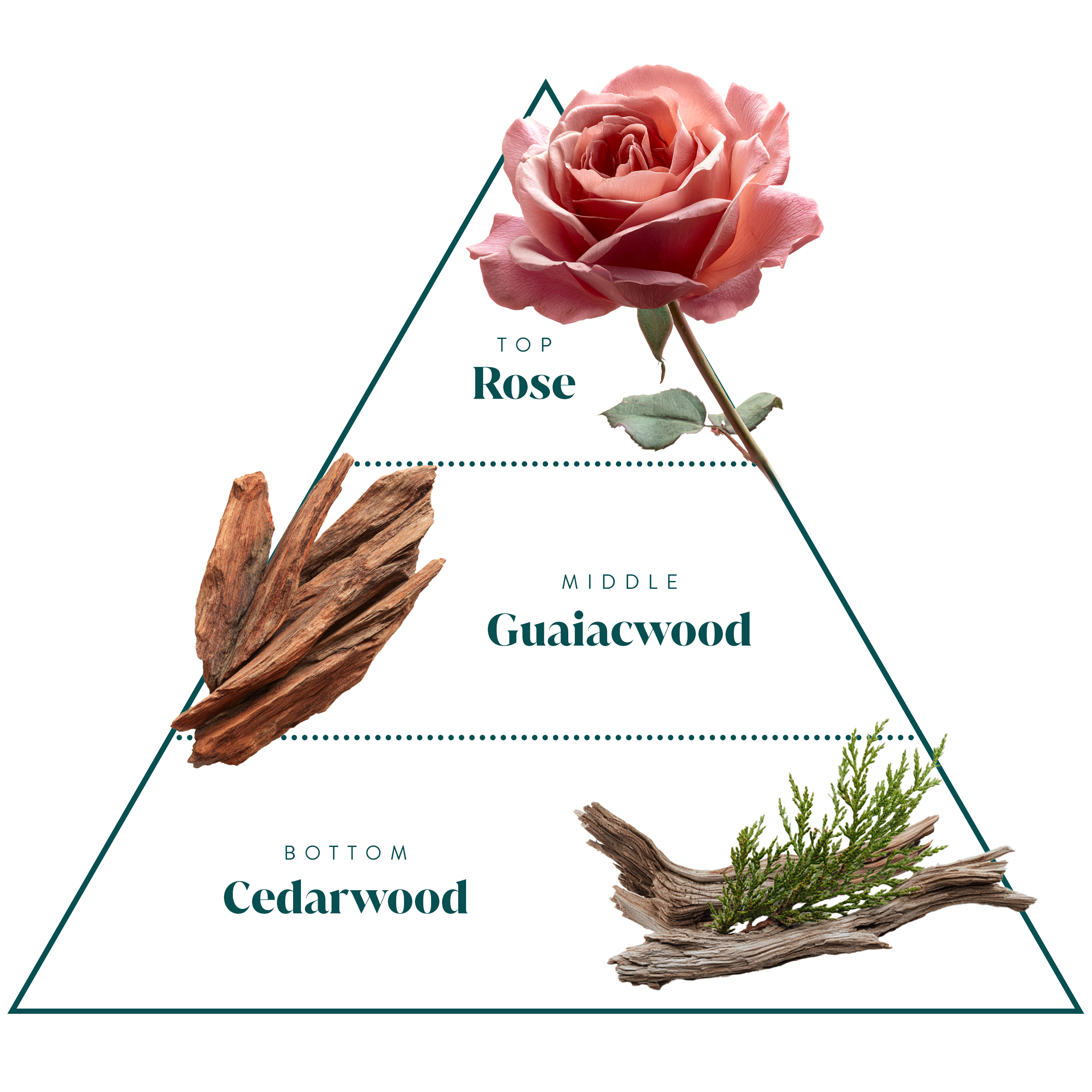 Delicates Wash | Scent 29